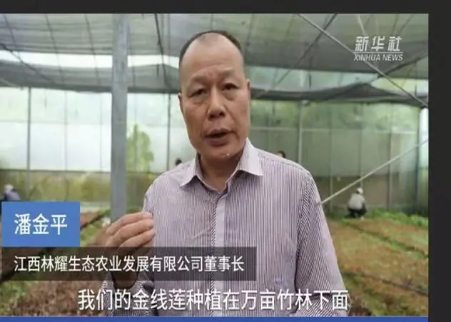 Pan Jinping, predsednik Jiangxi Linyao Ecological Agriculture Development Co., Ltd., intervju za tiskovno agencijo Xinhua