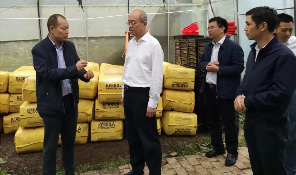 Xie Guanghua, partijski sekretar in direktor uprave za tradicionalno kitajsko medicino province Jiangxi, izvaja raziskave na bazi sajenja Anoectochilus
